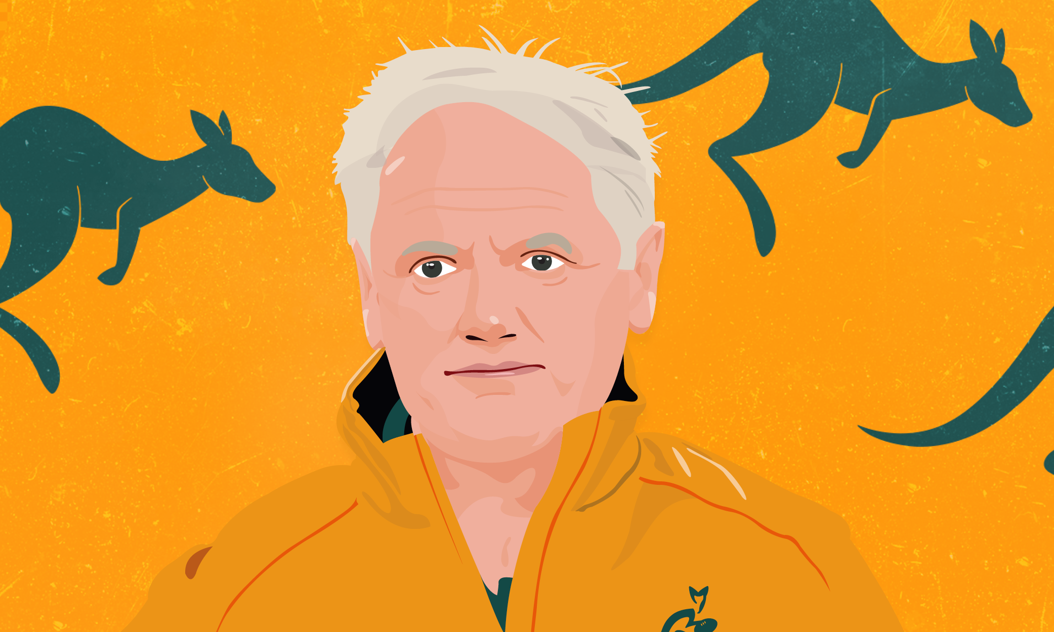 Joe Schmidt takes the helm: a new dawn for the Wallabies?