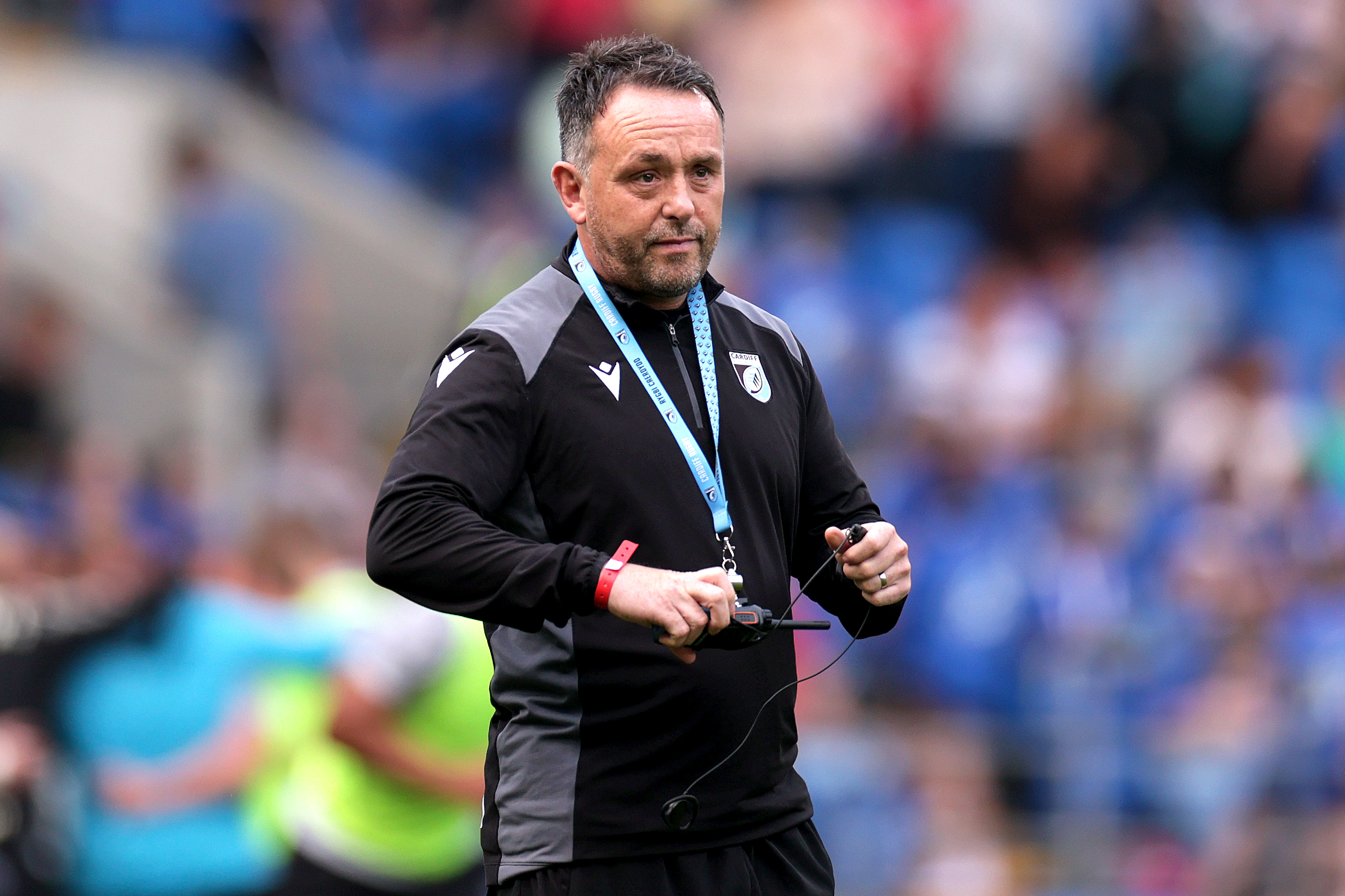 New signings inspire Cardiff bonus-point victory over Zebre