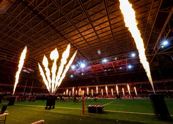 Roof to be shut for all Wales home fixtures for next two years