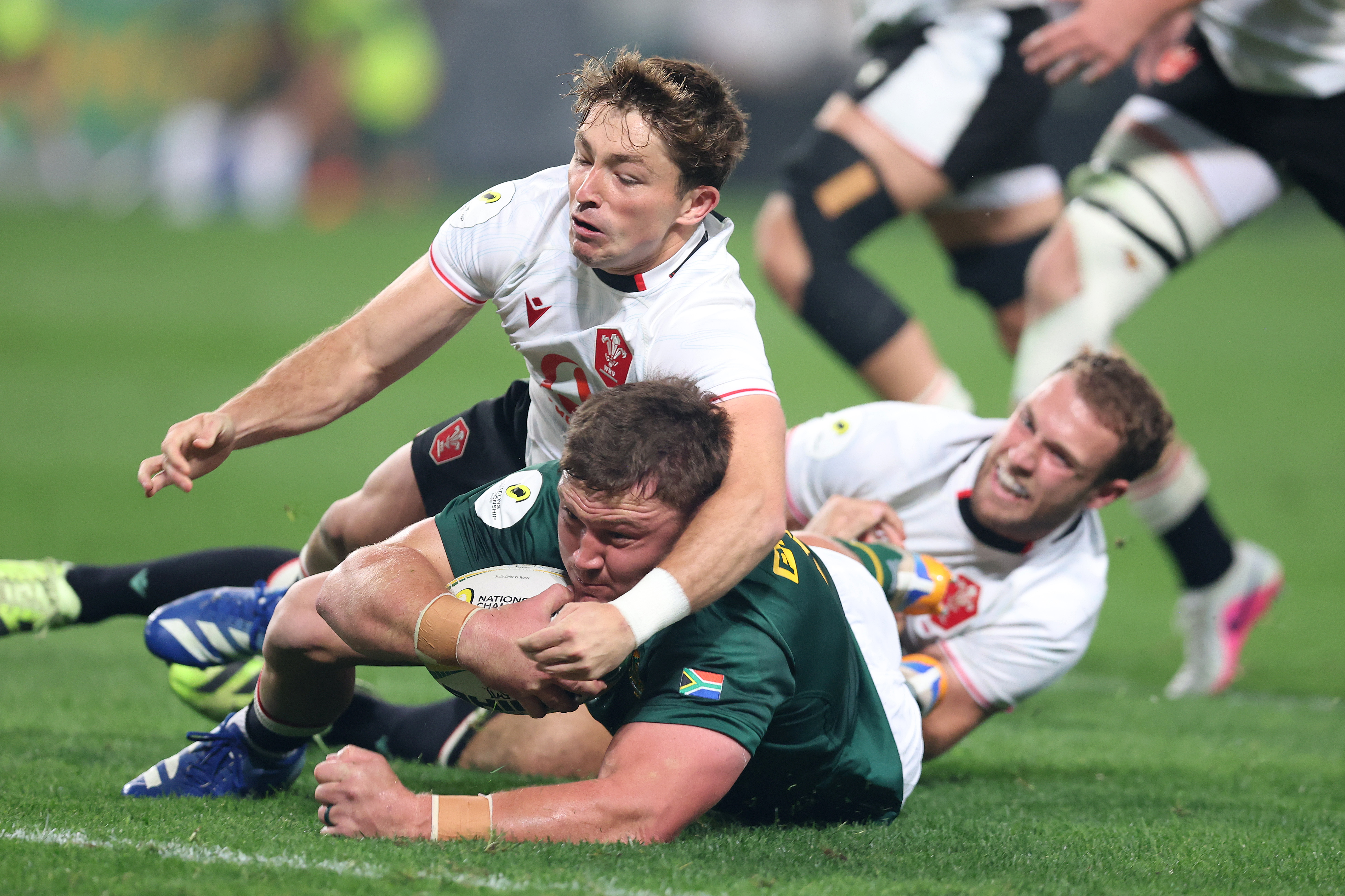 Seven-try Springboks crush Wales to top southern hemisphere table
