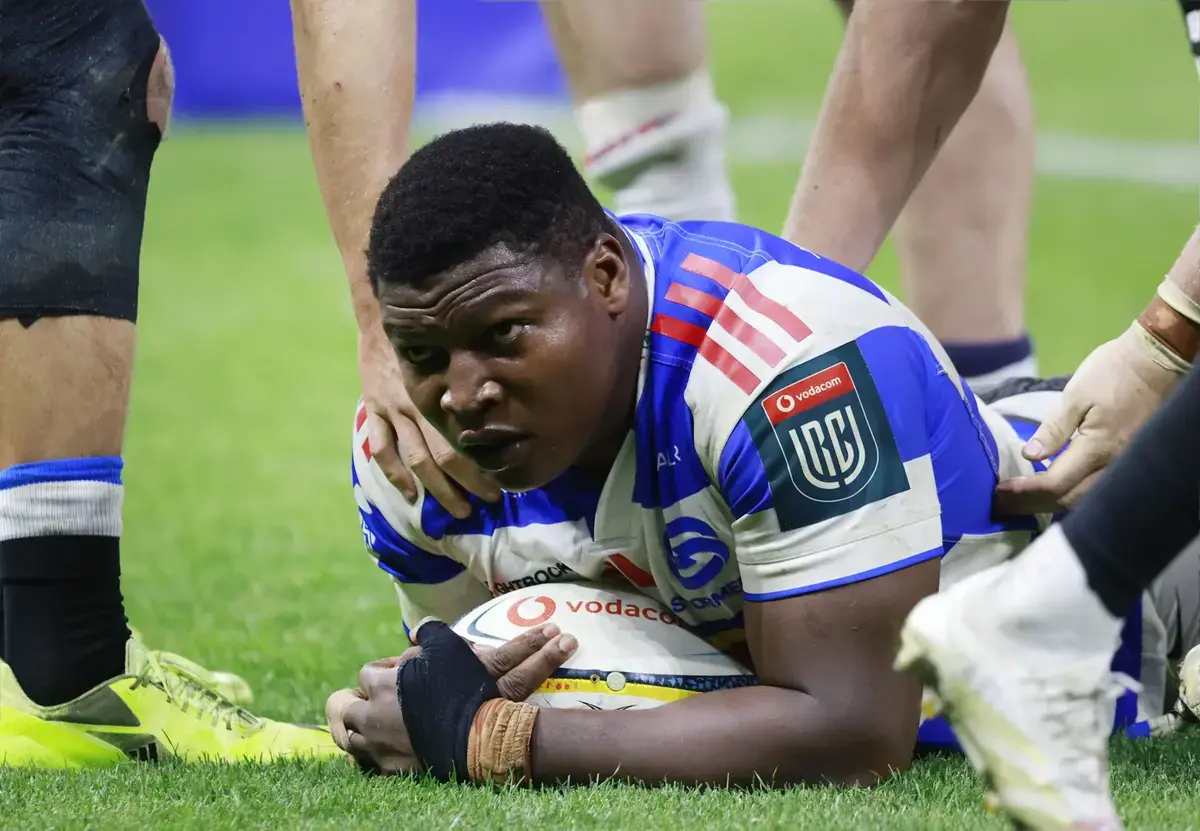 Stormers prop called up as Erasmus expands Springbok squad to 44